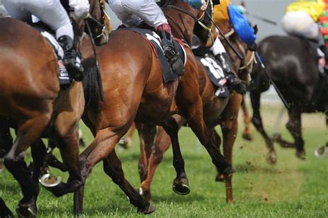 gg com horse racing today|Today’s Racecards .
